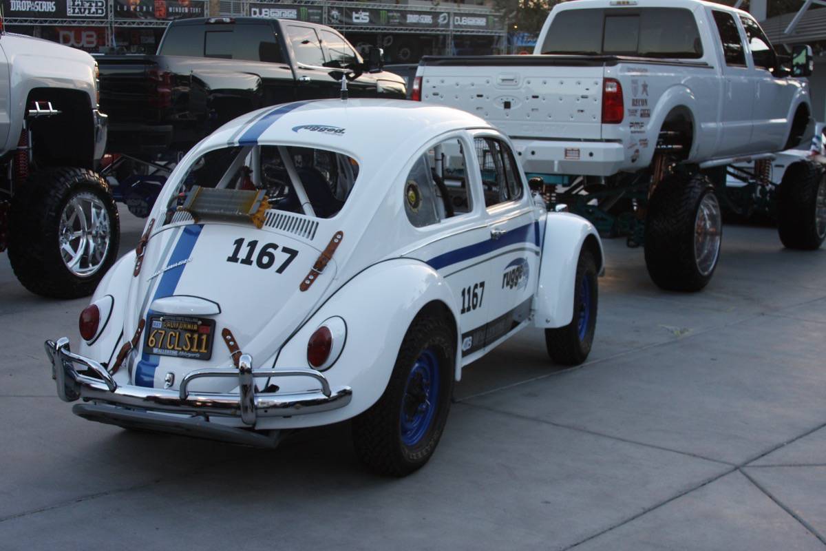 For Sale: WANTED: CLASS 11 BUG  - photo0
