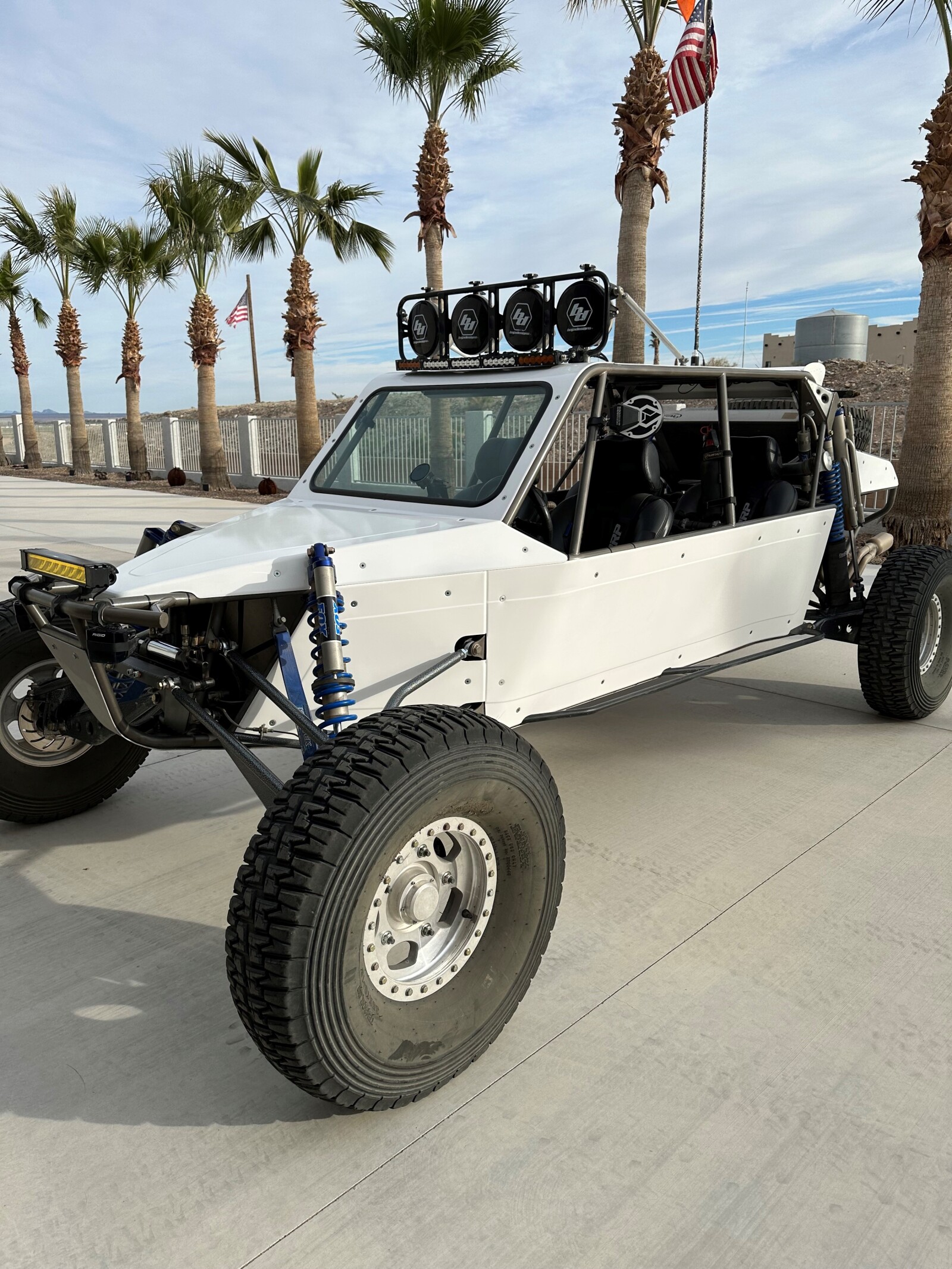 For Sale: Potter Dual Sport Buggy - photo2