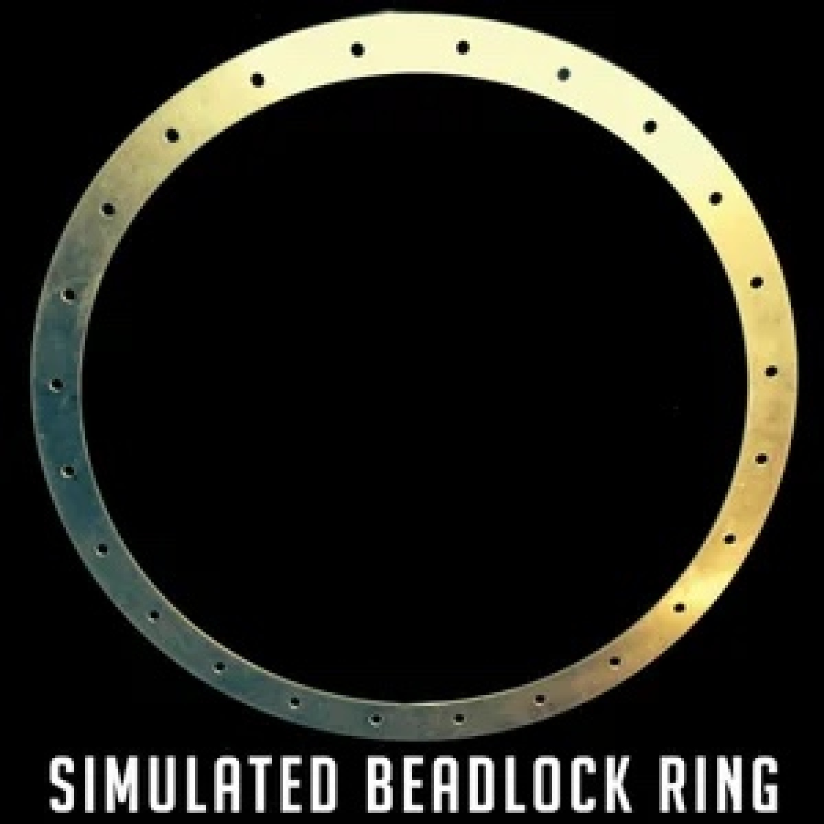 For Sale: ***WTB 17” Robby Gordon simulated bead lock RINGS ONLY*** - photo0