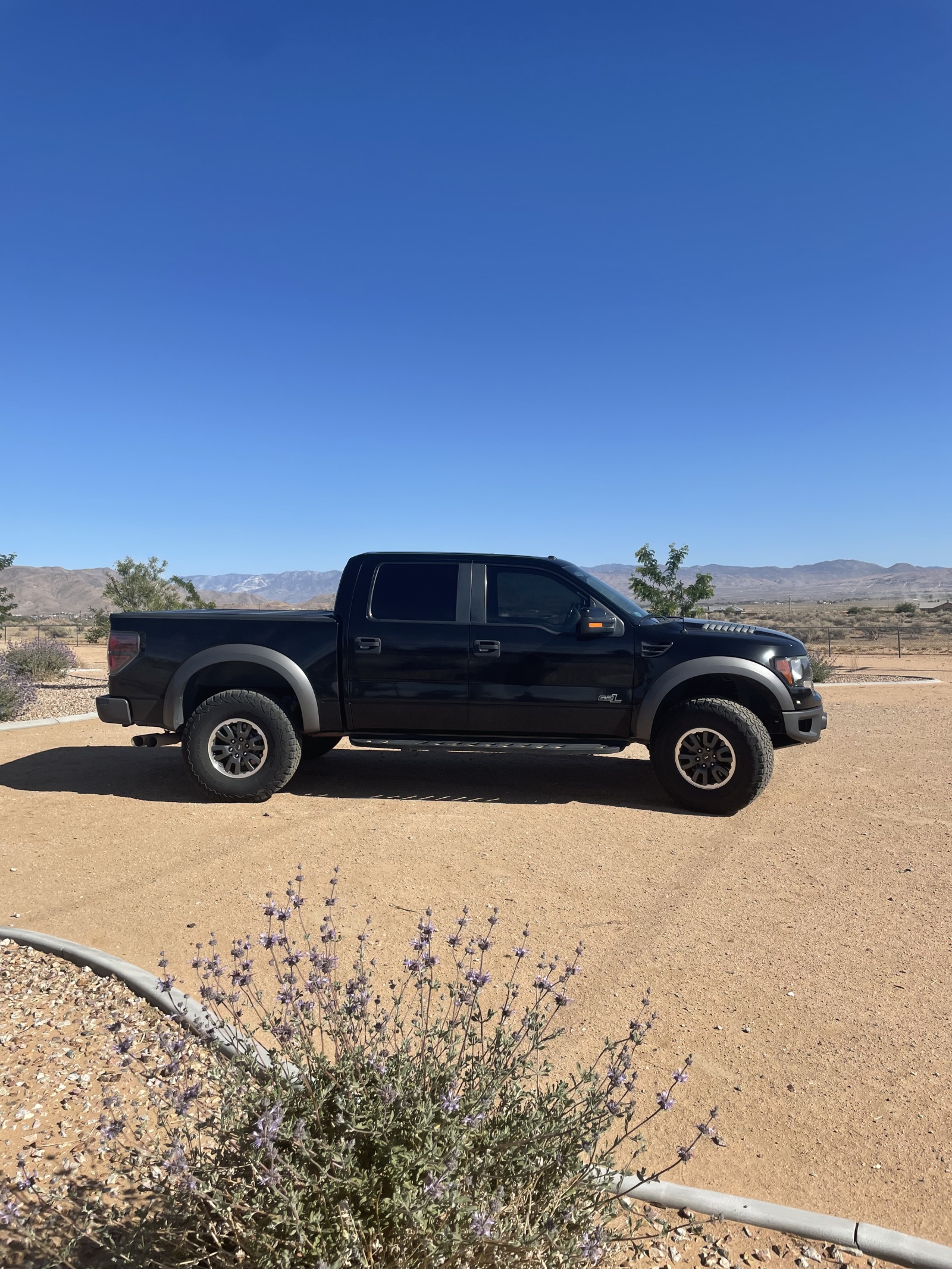 For Sale: 2011 Ford Raptor (82299 miles) - photo1